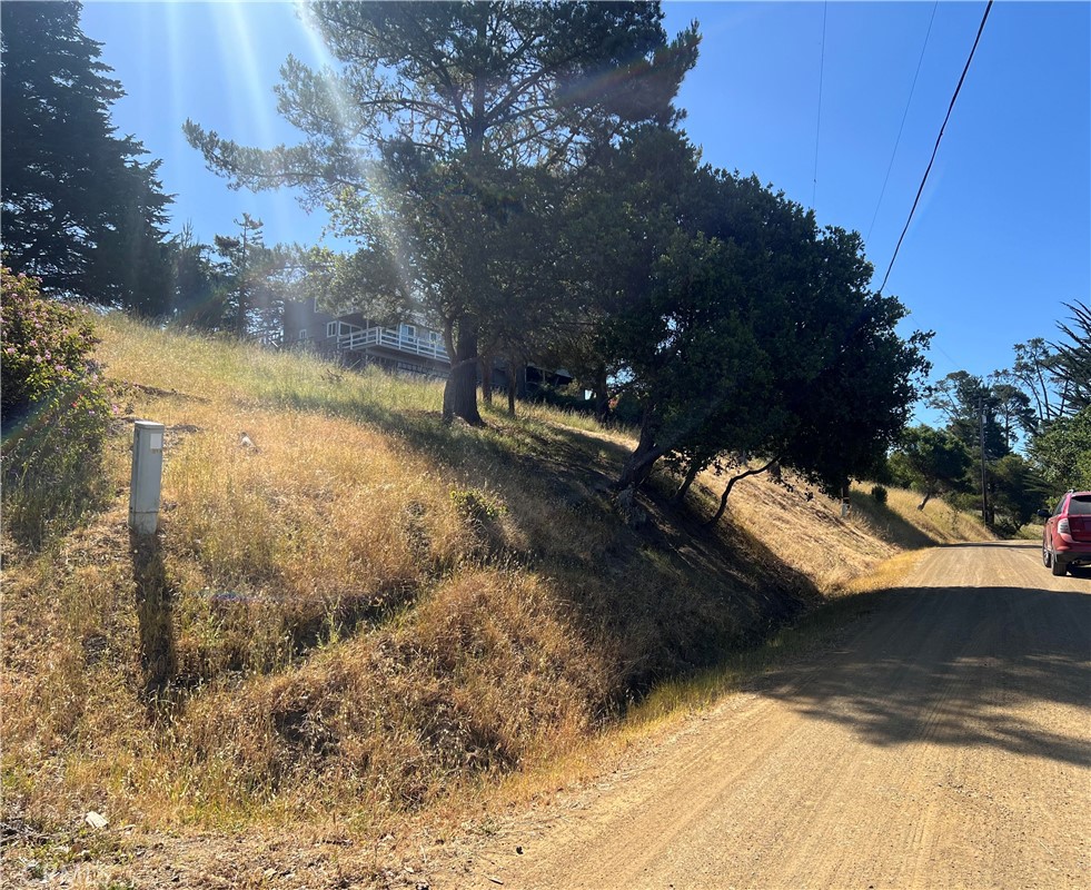 0 Pierce Property Photo 1
