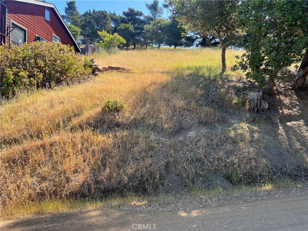 0 Pierce Property Photo 2