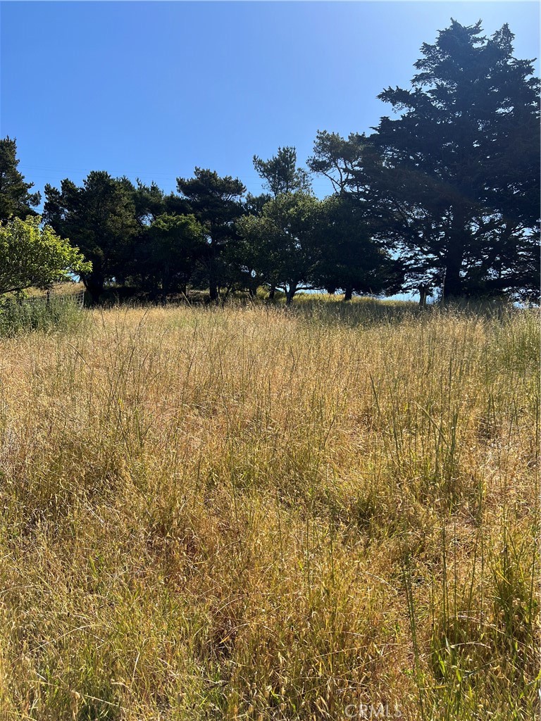 0 Pierce Property Photo 3