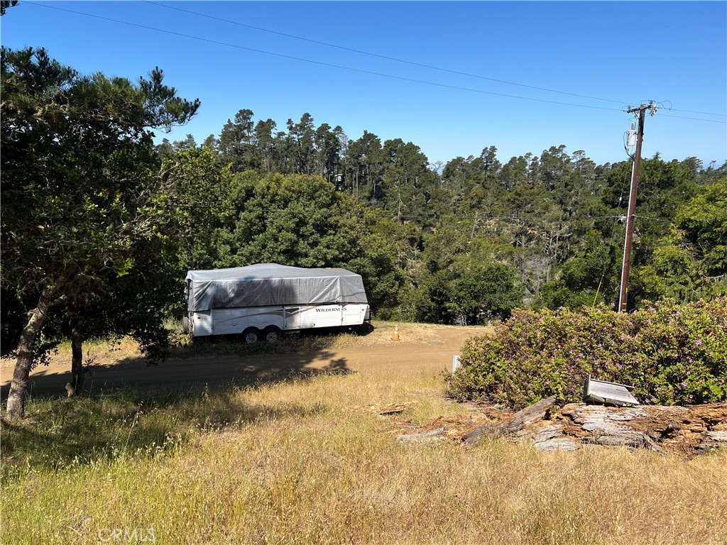 0 Pierce Property Photo 4