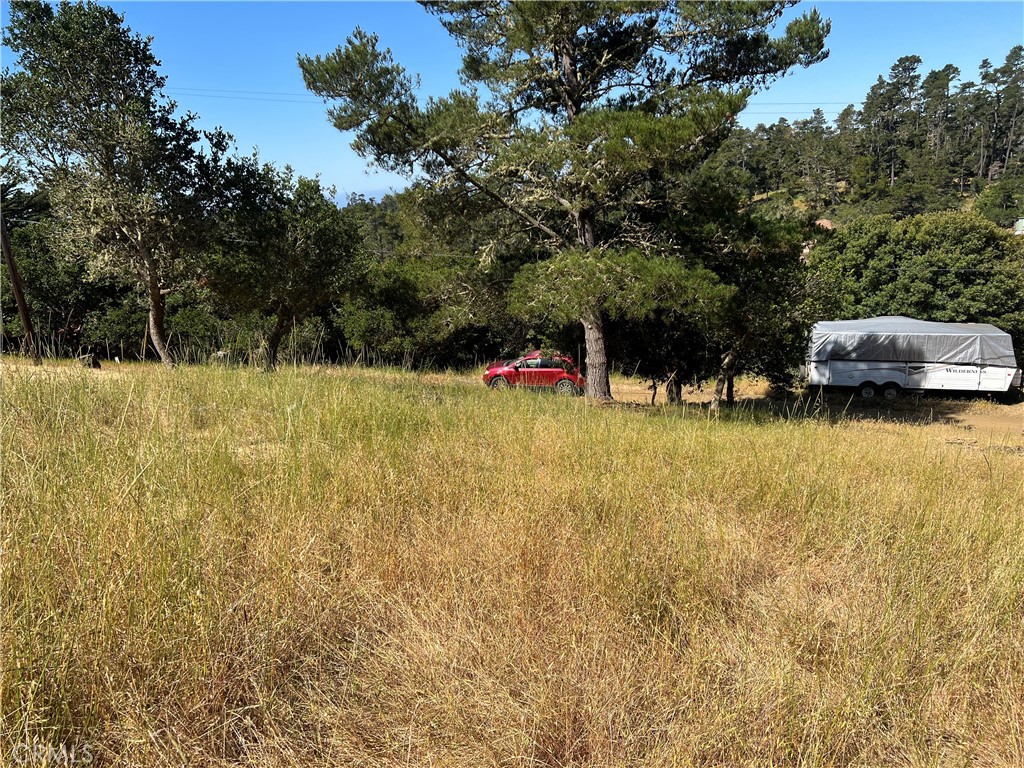 0 Pierce Property Photo 5