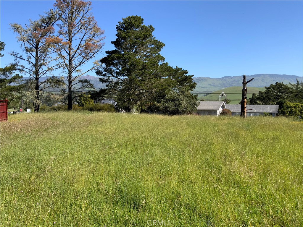3125 Wood Property Photo 2