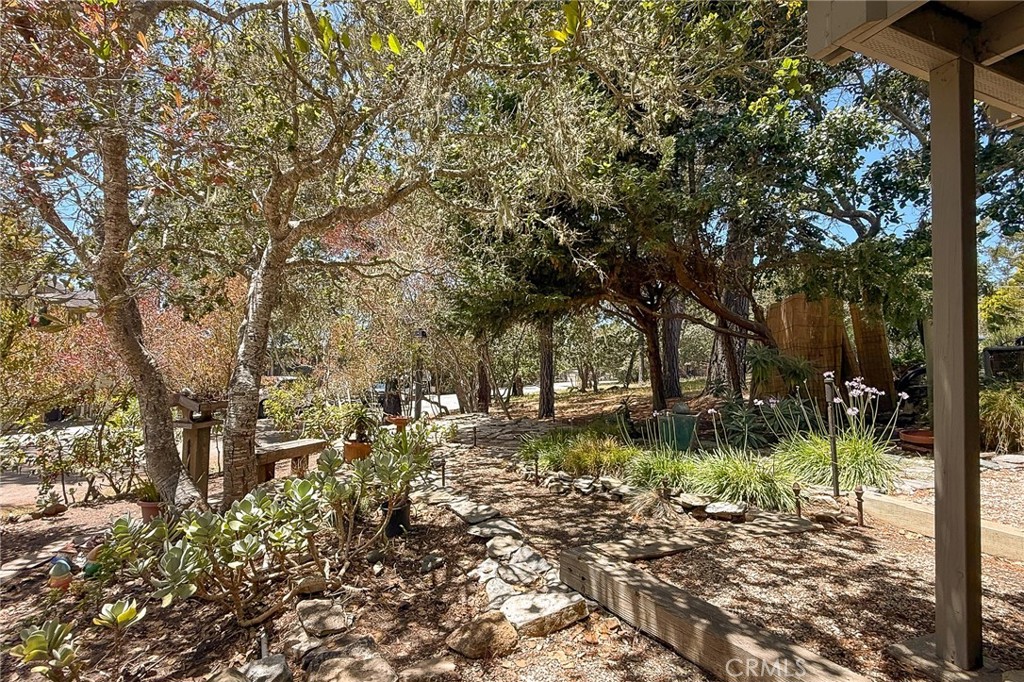 1970 Tweed Avenue Property Photo 39