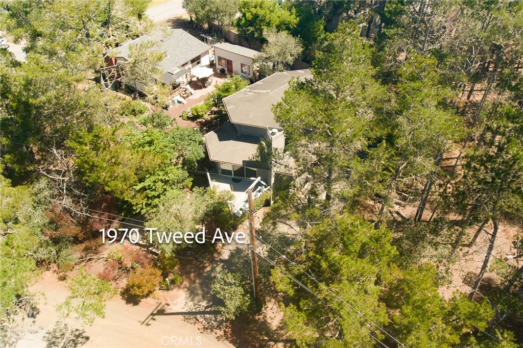 1970 Tweed Avenue Property Photo 46