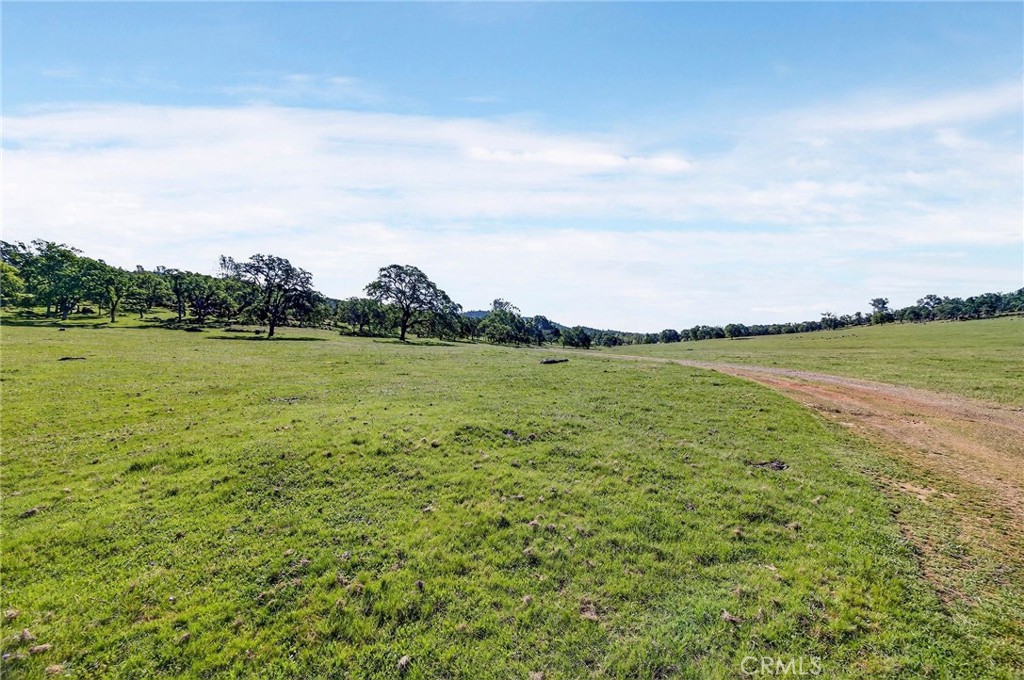 7680 Walsh Property Photo 65
