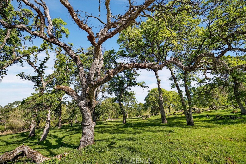7680 Walsh Property Photo 67