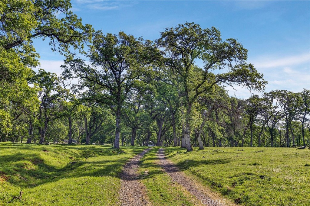 7680 Walsh Property Photo 68