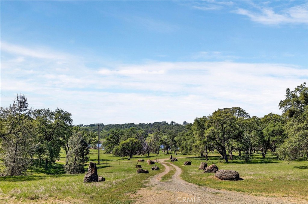 7680 Walsh Property Photo 69