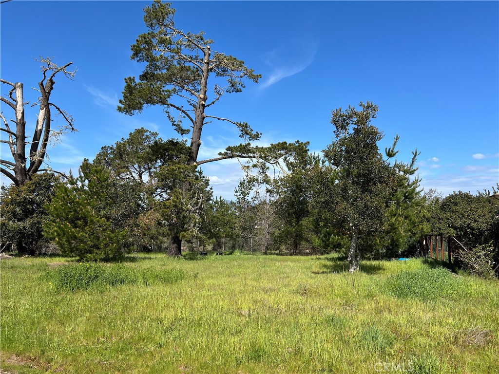 2540 Malvern Street Property Photo 1