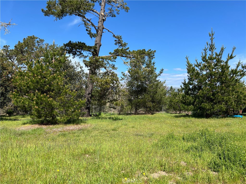 2540 Malvern Street Property Photo 2
