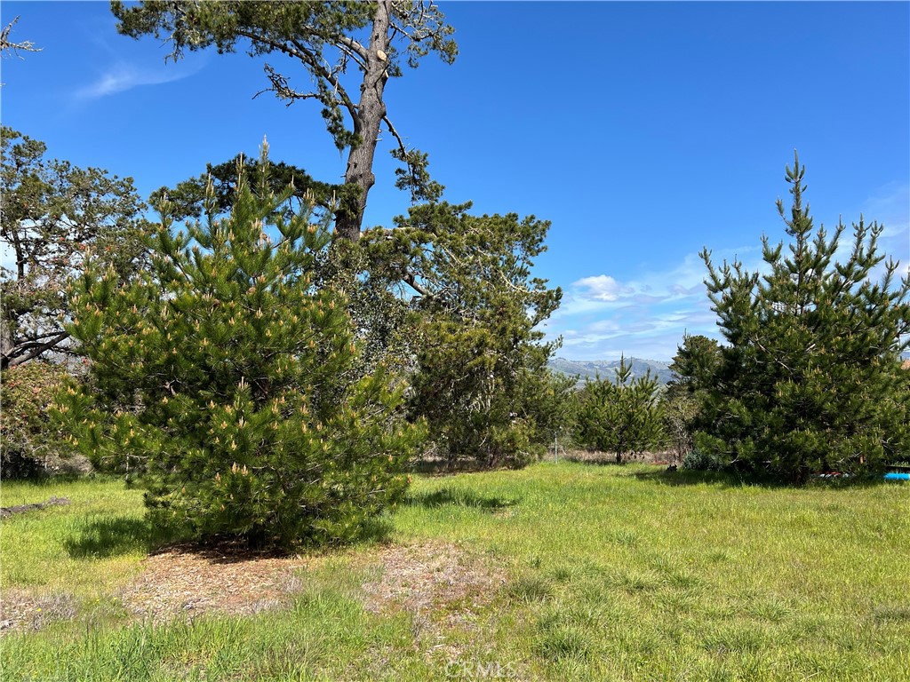 2540 Malvern Street Property Photo 8