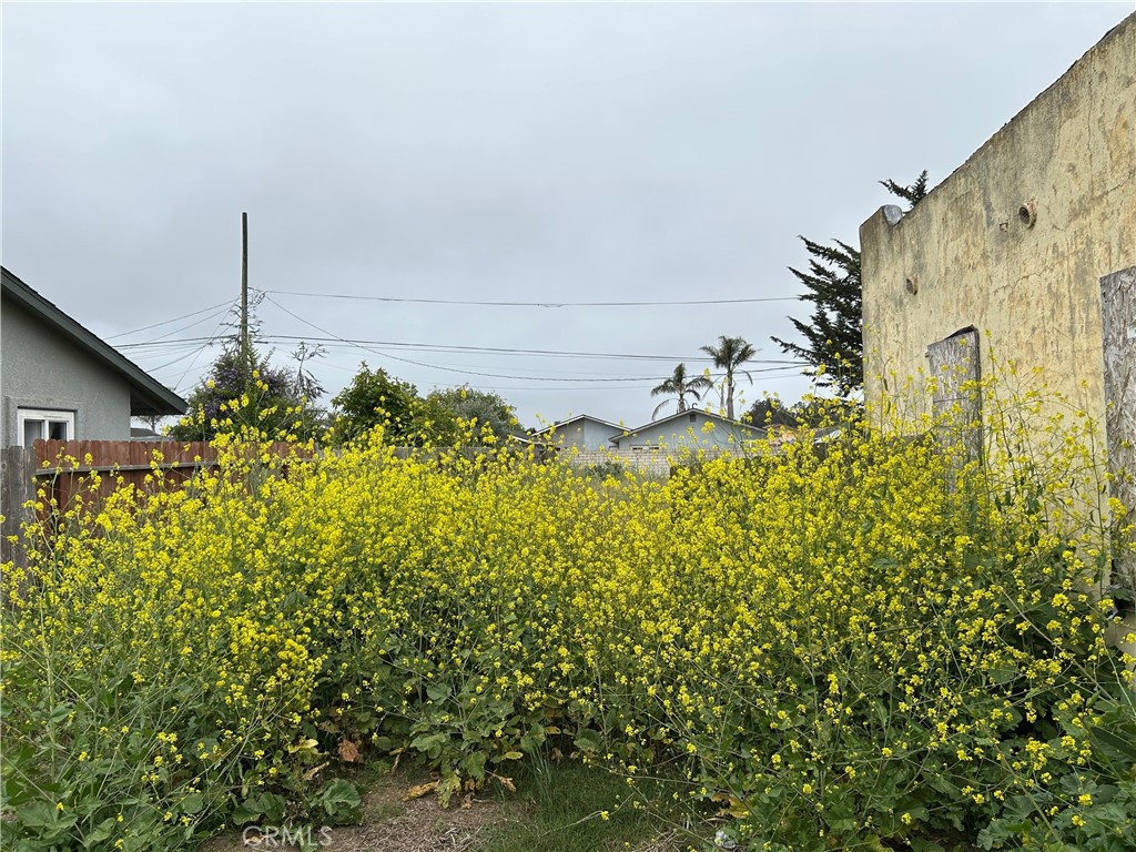 261 Tognazzini Property Photo 8