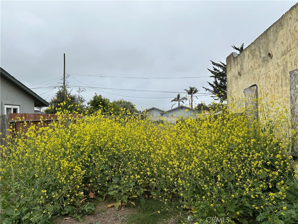 261 Tognazzini Property Photo 17