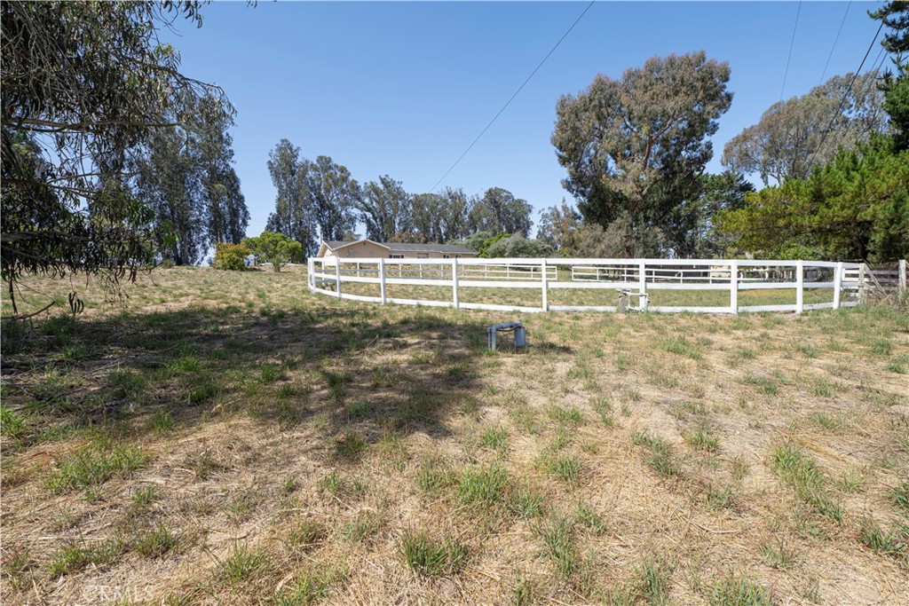 688 Ralcoa Property Photo 5