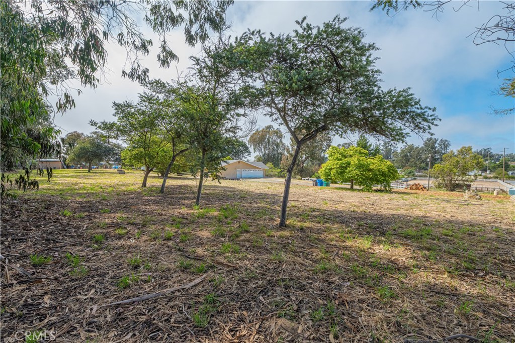 688 Ralcoa Property Photo 34