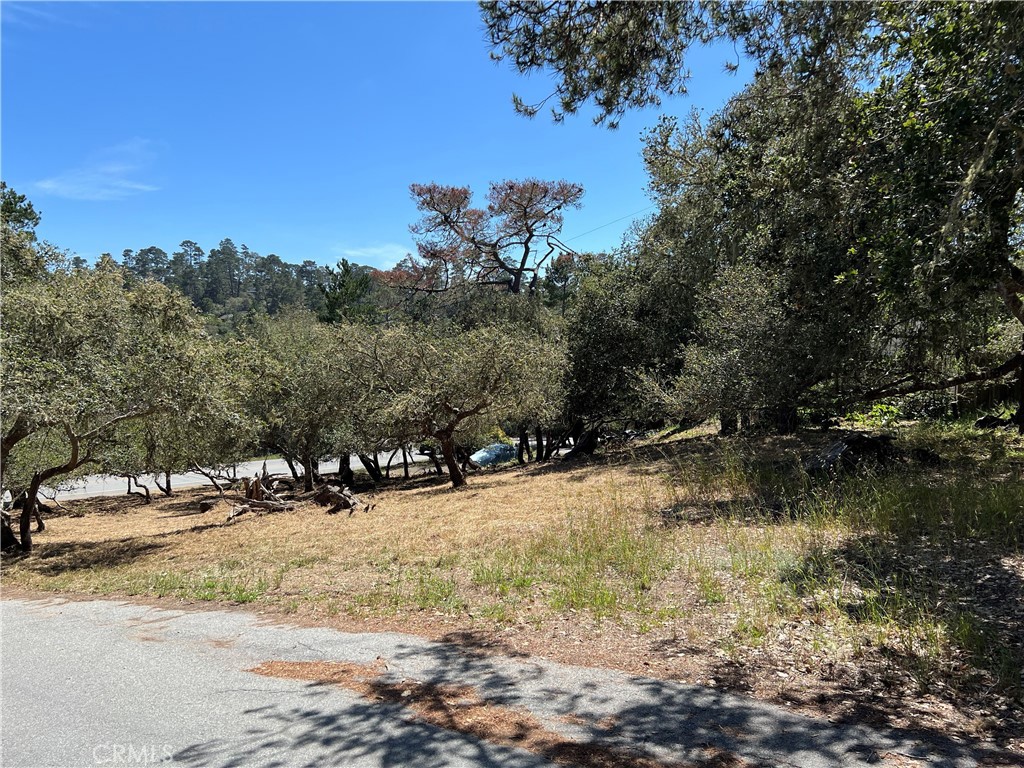 0 Pierce Avenue Property Photo 1