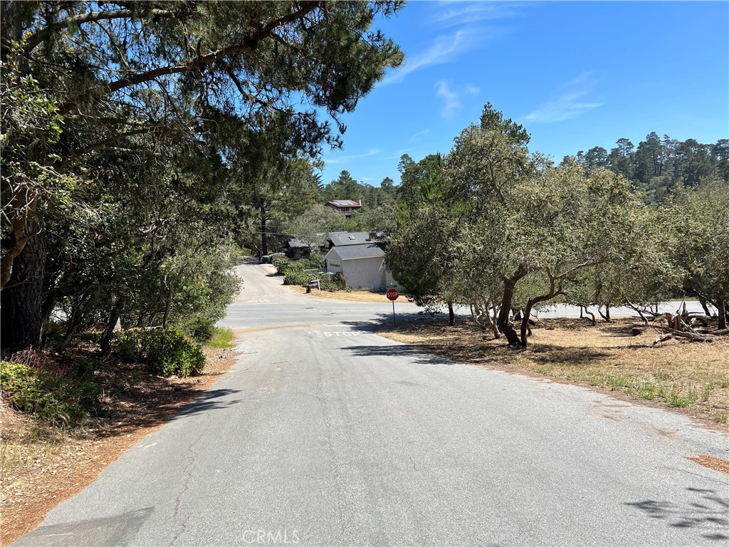 0 Pierce Avenue Property Photo 10