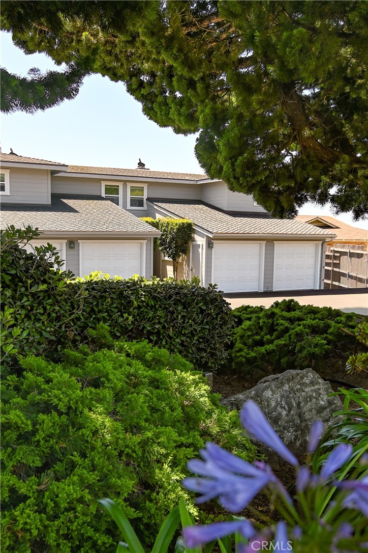 561 Lucerne Property Photo 22