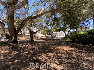 1595 Los Osos Valley 4a Property Photo 44