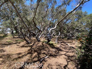 1595 Los Osos Valley 4a Property Photo 51