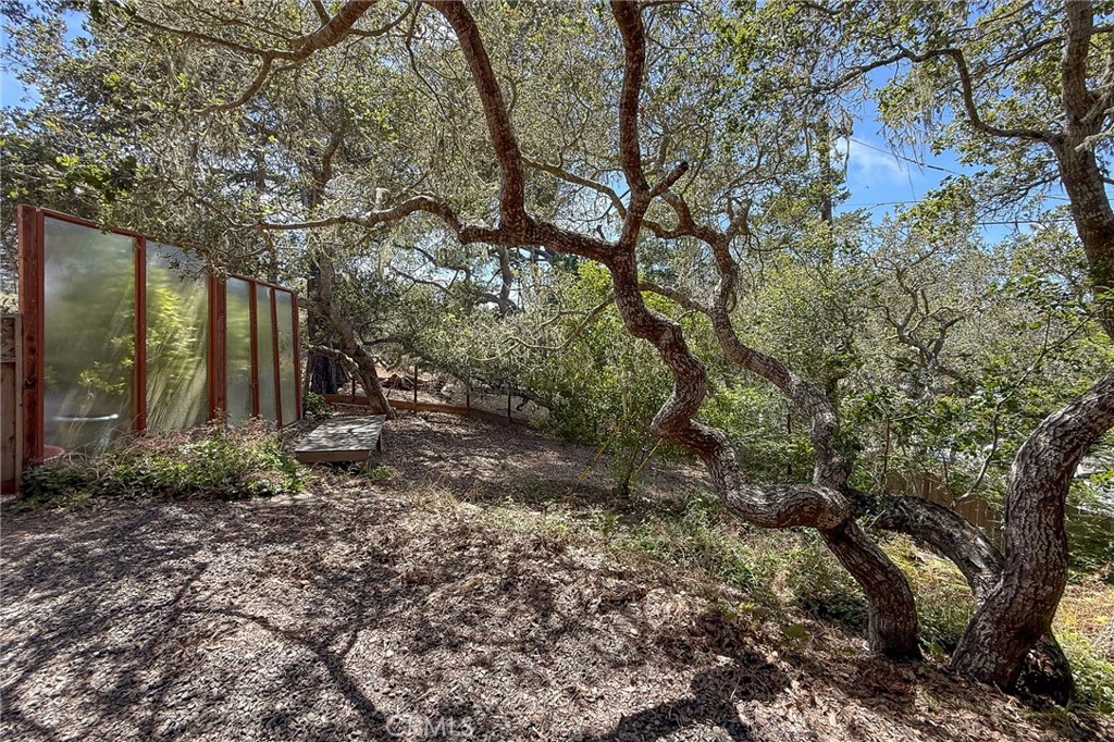 1951 Pierce Avenue Property Photo 50
