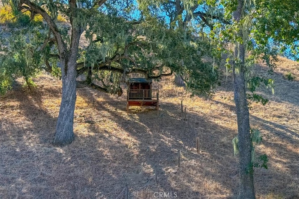 9905 Corriente Property Photo 44