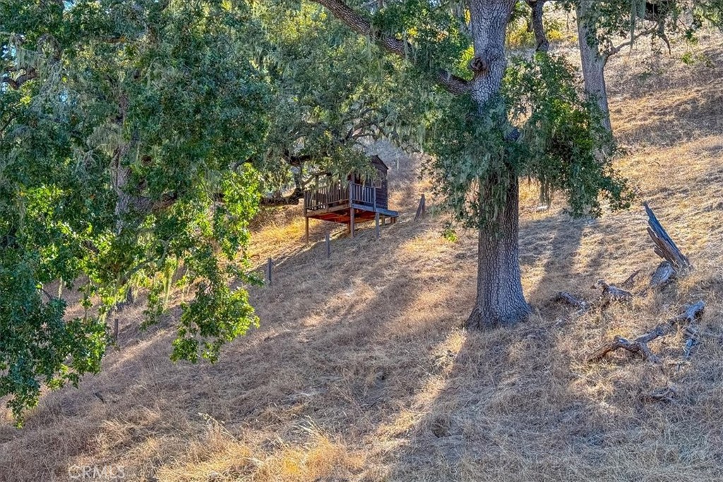 9905 Corriente Property Photo 45