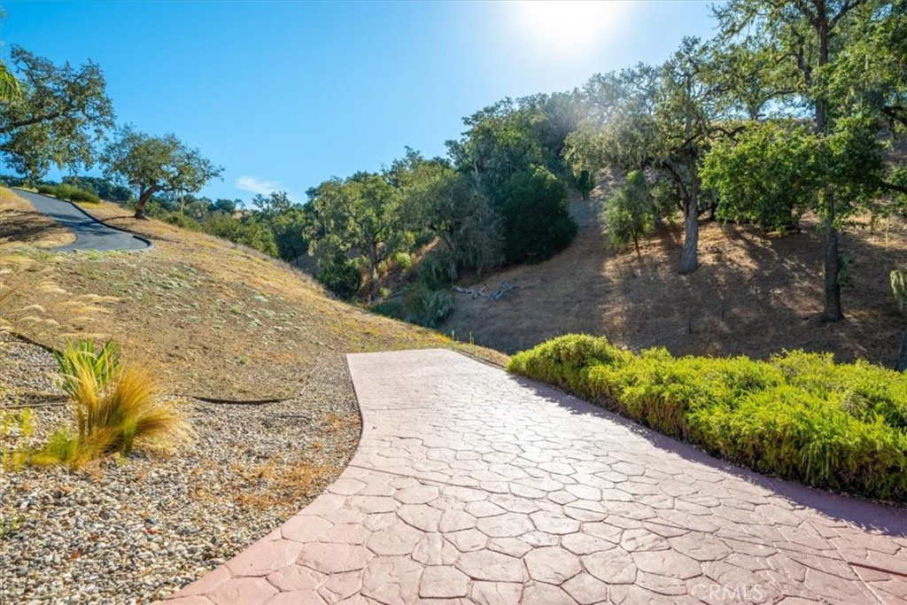 9905 Corriente Property Photo 47