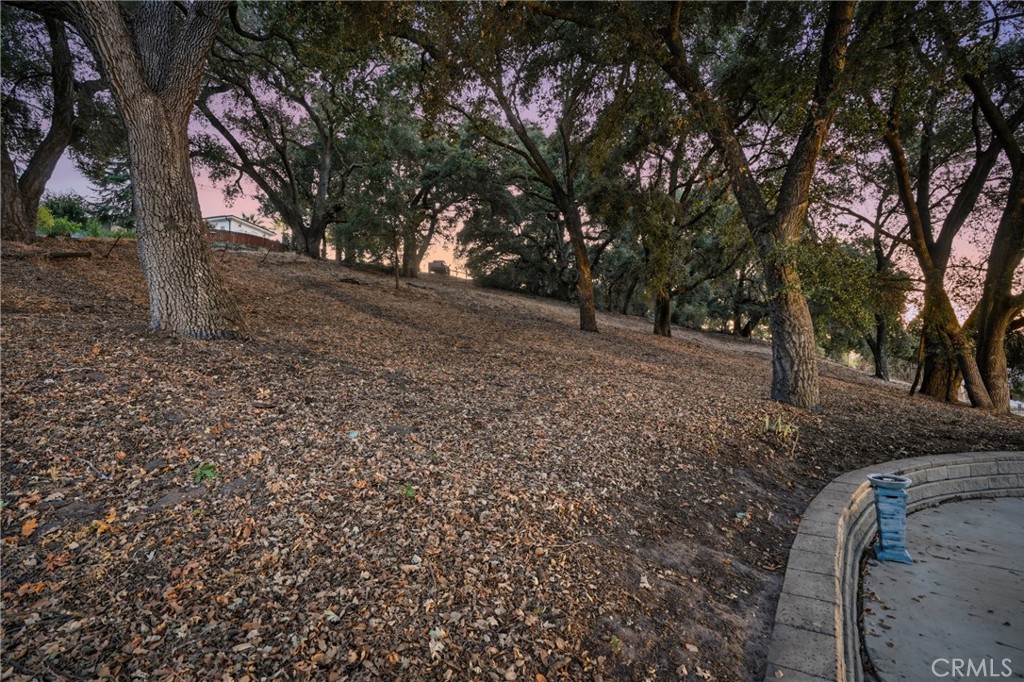4250 Traffic Way Property Photo 13