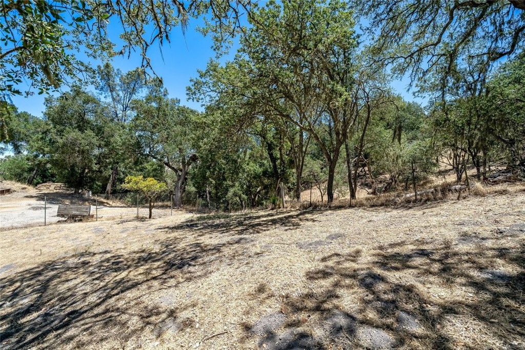 9056 Curbaril Avenue Property Photo 7