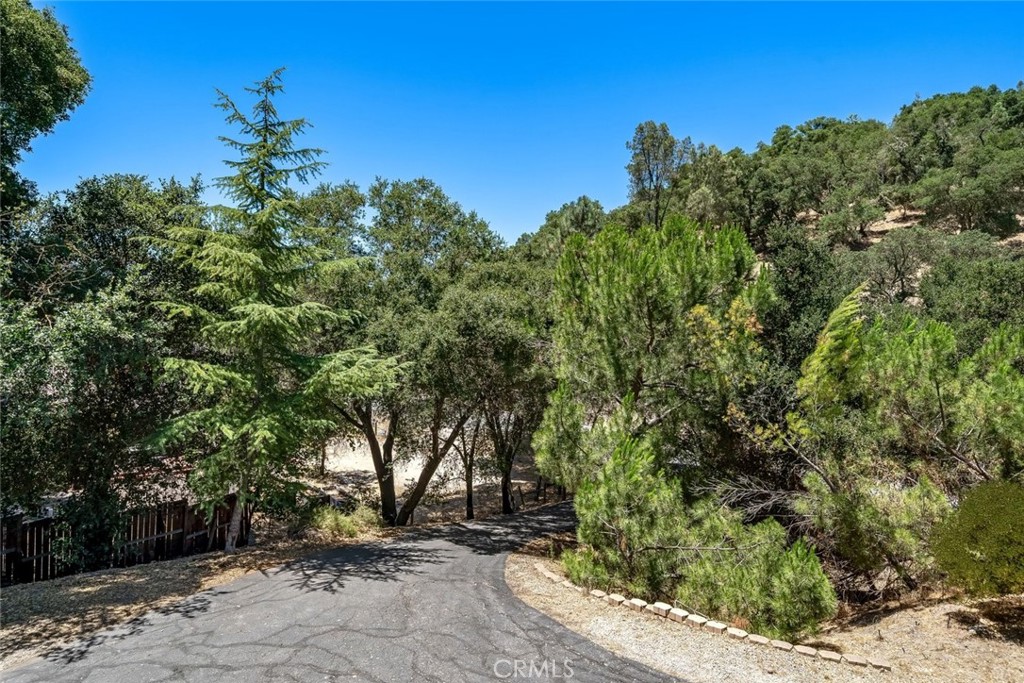 9056 Curbaril Avenue Property Photo 21