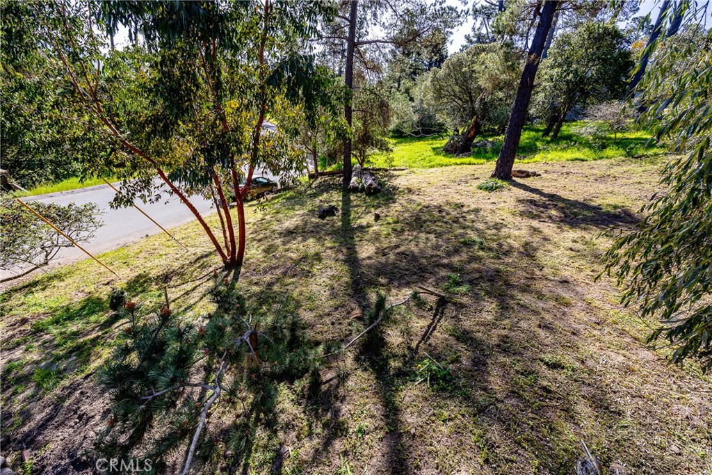 0 Spencer Street Property Photo 1
