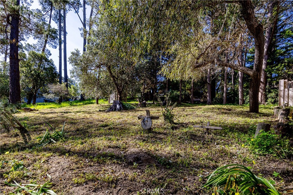 0 Spencer Street Property Photo 2