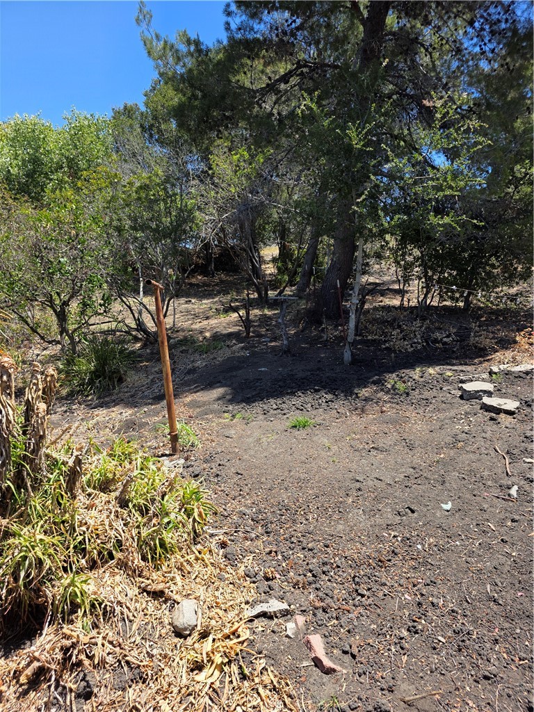 1411 1415 San Luis Drive Property Photo 4