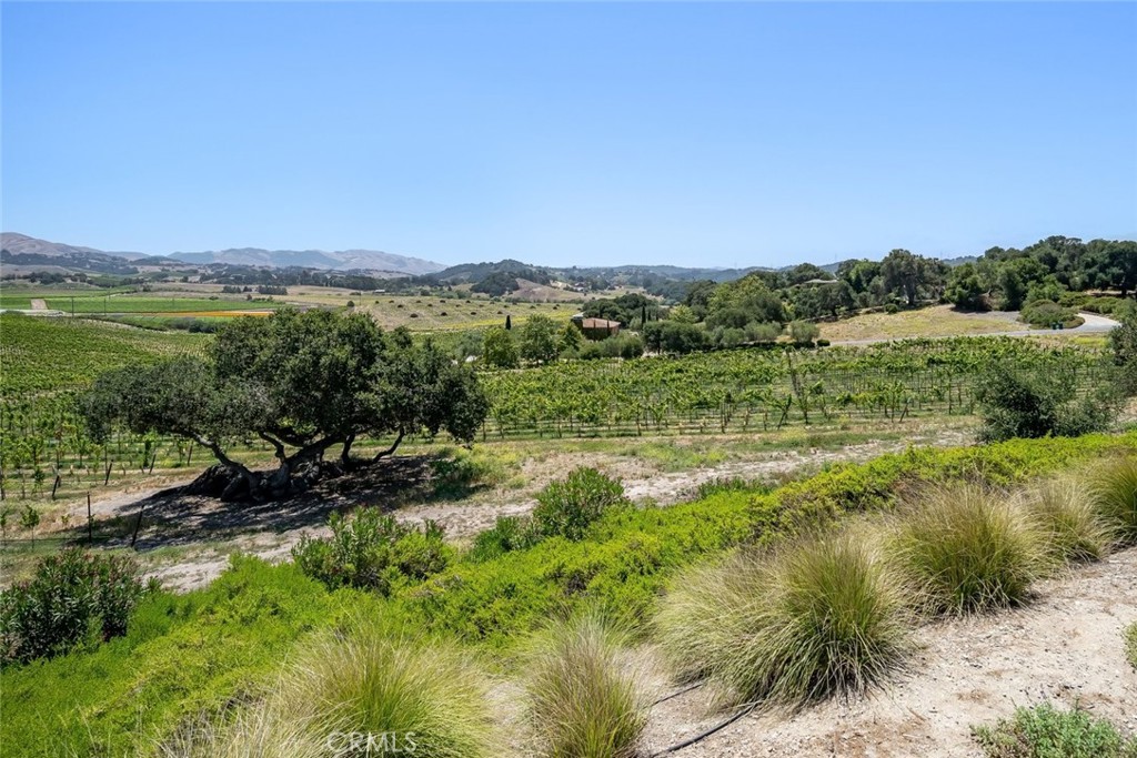 2350 Camino Edna Property Photo 24