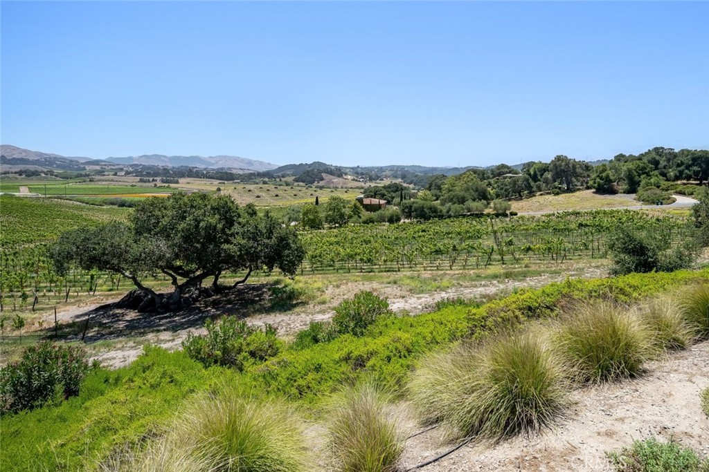 2350 Camino Edna Property Photo 24