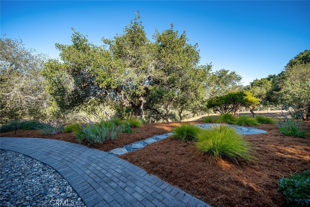 539 Palos Secos Property Photo 52