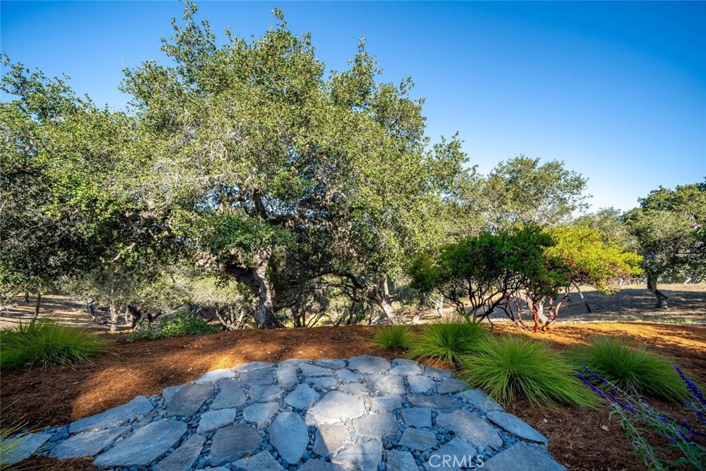 539 Palos Secos Property Photo 56