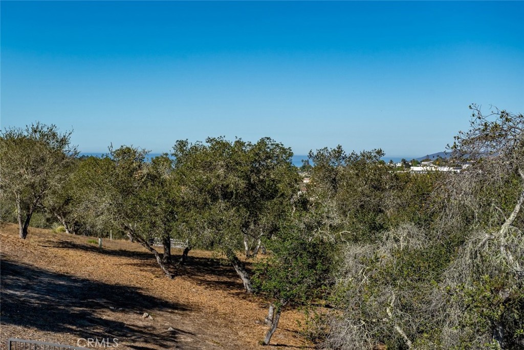 539 Palos Secos Property Photo 57