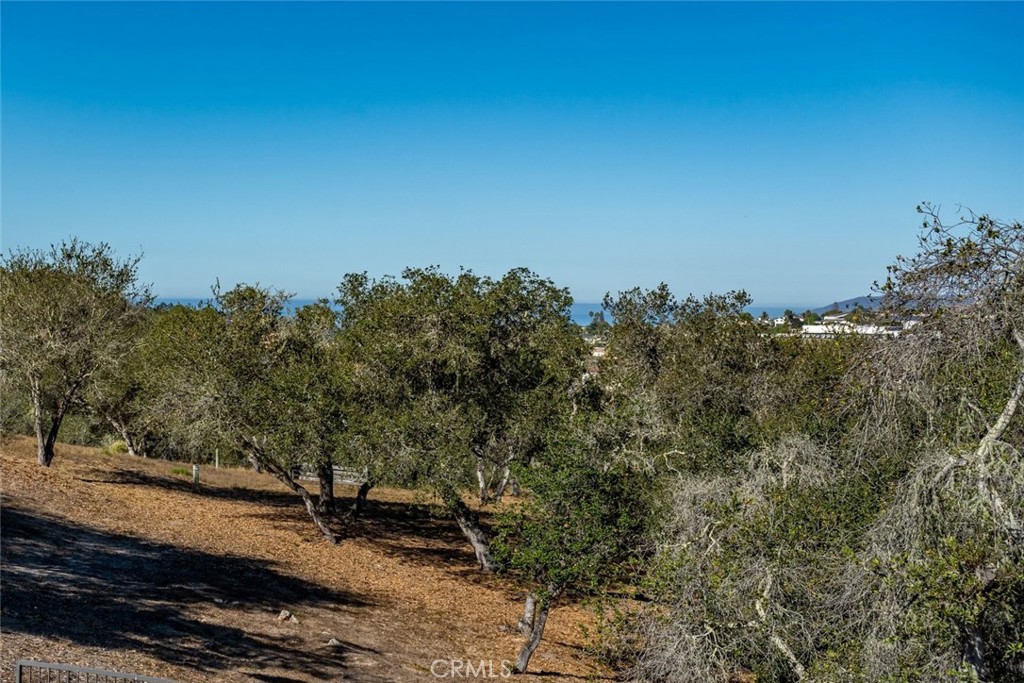 539 Palos Secos Property Photo 57