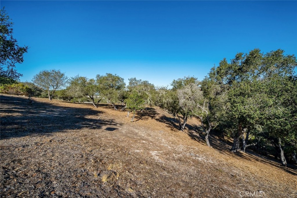 539 Palos Secos Property Photo 58