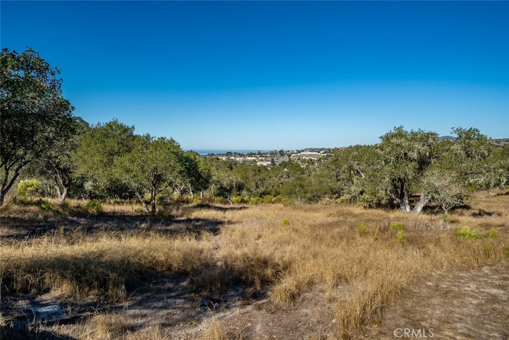 539 Palos Secos Property Photo 59
