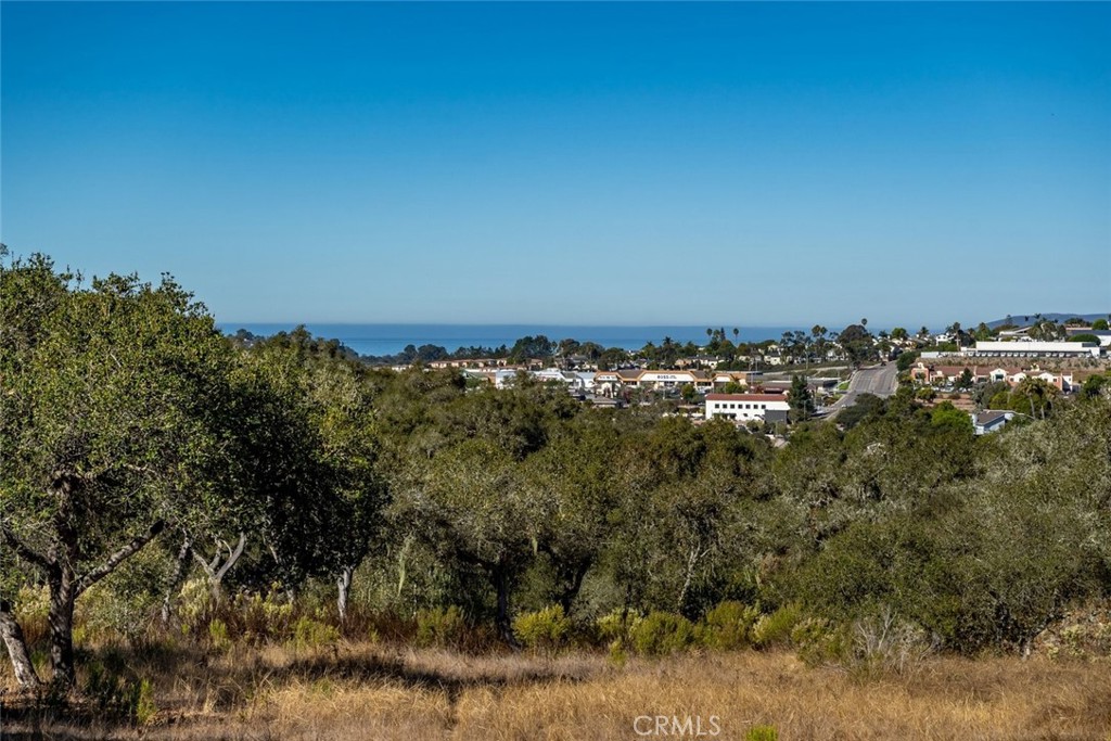 539 Palos Secos Property Photo 60