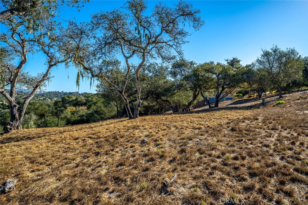 539 Palos Secos Property Photo 61
