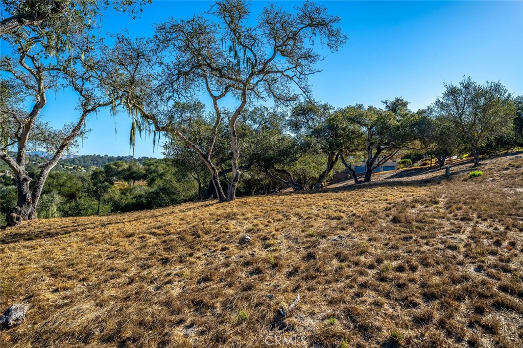 539 Palos Secos Property Photo 61