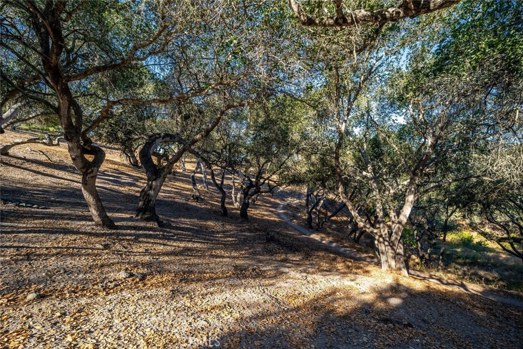 539 Palos Secos Property Photo 63