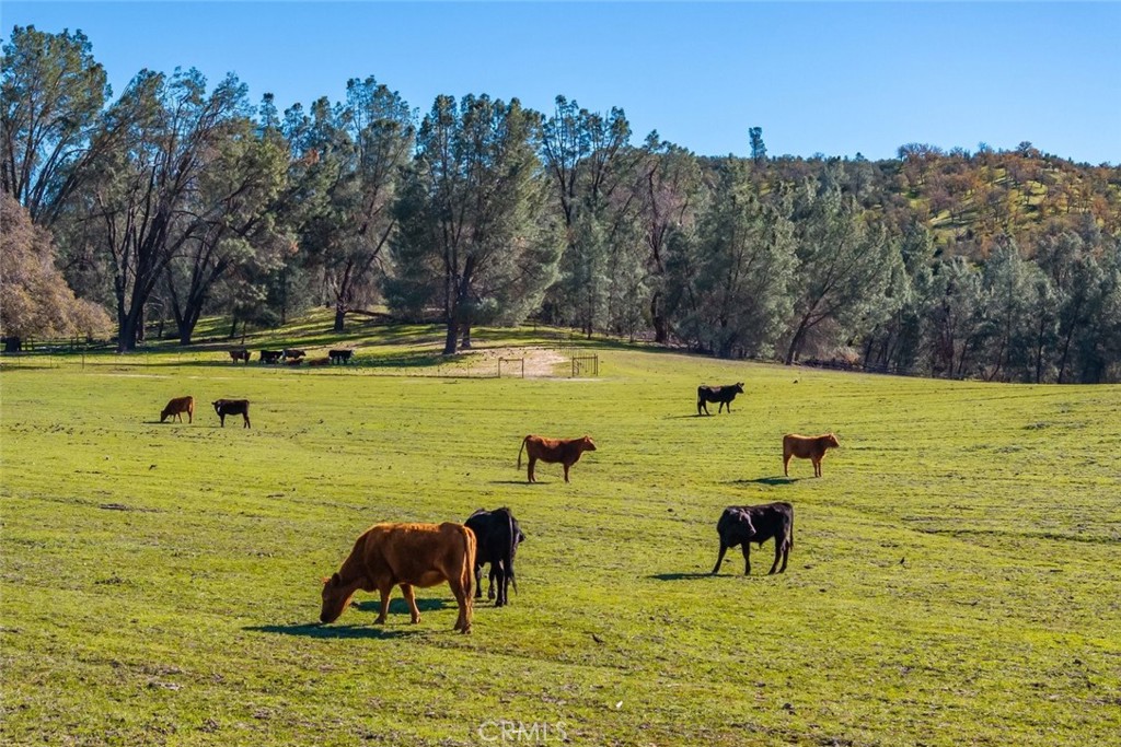 535 Calf Canyon Highway Property Photo 7