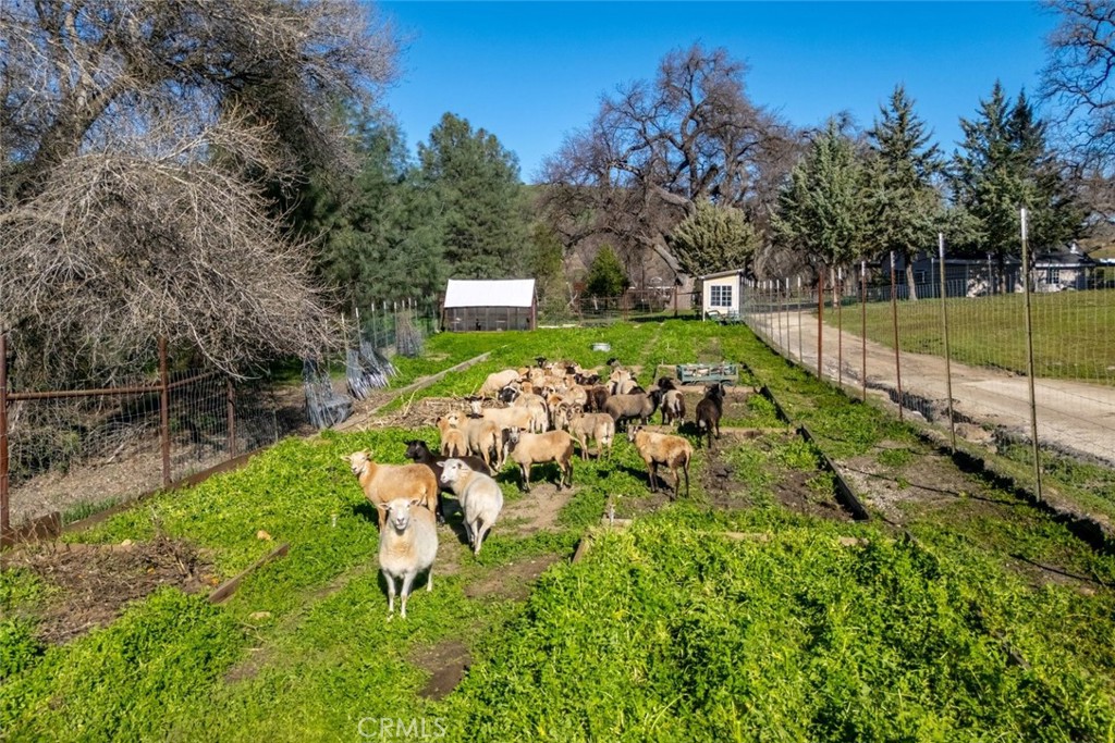 535 Calf Canyon Highway Property Photo 60