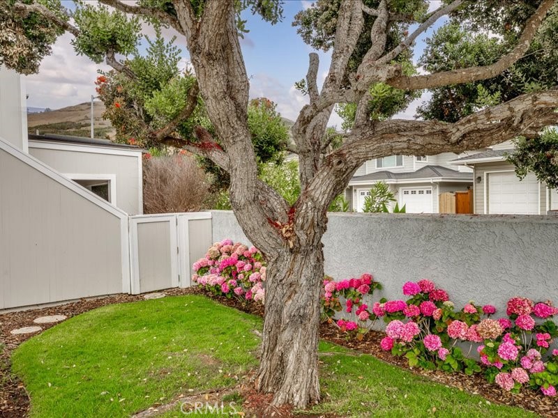 3080 Studio Property Photo 35