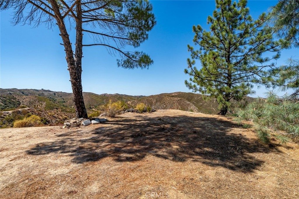 9725 Huer Huero Rd Property Photo 31